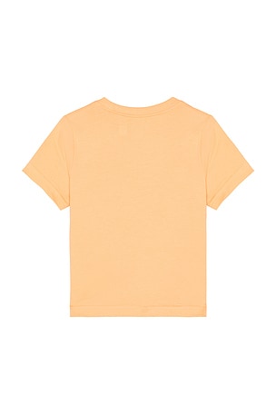 Polo Ralph Lauren Short Sleeve Jersey Knit Novelty Surf Bear Graphic T-shirt in Coral