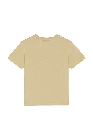 Polo Ralph Lauren Kids Short Sleeve Cotton Jersey Crewneck T-shirt in Taupe