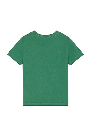 Polo Ralph Lauren Kids Short Sleeve Cotton Jersey Novelty Bear Graphic T Shirt in Green
