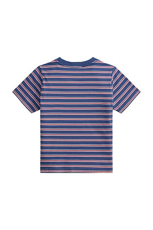 Polo Ralph Lauren Kids Short Sleeve Jersey Knit Striped Crewneck T-shirt in Blue