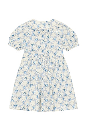 Polo Ralph Lauren Short Sleeve Cotton Floral Printed Ruffle Shirt Dress in Blue