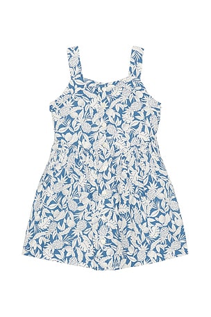 Polo Ralph Lauren Sleeveless Cotton Pineapple Printed Day Dress in Blue