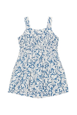 Polo Ralph Lauren Sleeveless Cotton Pineapple Printed Day Dress in Blue