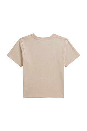 Polo Ralph Lauren Kids Short Sleeve Jersey Knit Flag Crewneck T-shirt in Brown