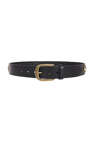 Studded Belt Pleasures