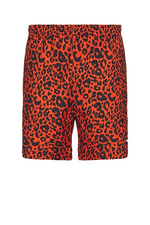 Leopard Active Shorts Pleasures
