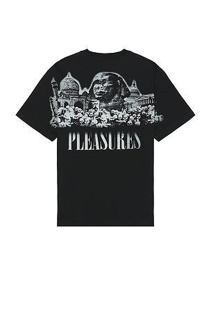 Monuments Heavyweight T-shirt Pleasures