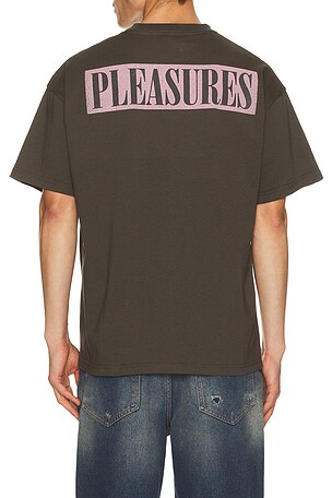 Pleasures Angel T-Shirt in Charcoal