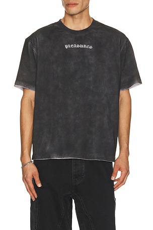 Spray Heavyweight Tee Pleasures