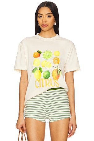 The Citrus Tee Polychrome Goods
