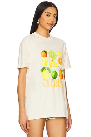 Polychrome Goods The Citrus Tee in Ivory. Size XL. Also