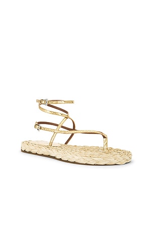 Paris Texas Hydra Flat Sandal in Metallic Gold,Neutral