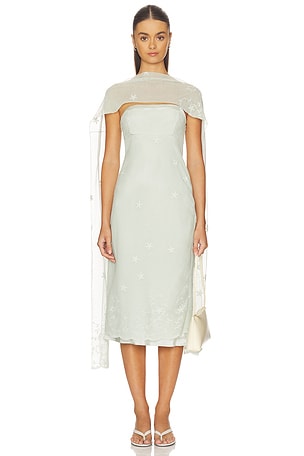 Cove Strapless Dress Posse