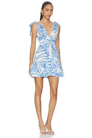 Poupette St Barth Cara Mini Dress in Blue,White