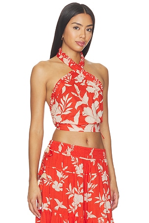 Poupette St Barth Suma Top in Orange