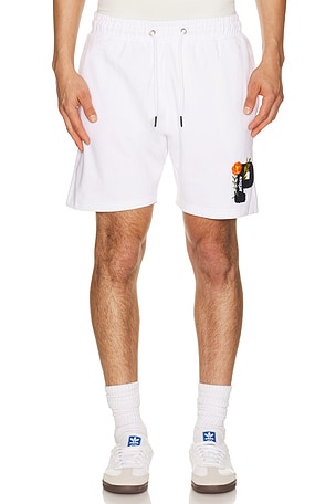 ШОРТЫ NA Prince Tennis