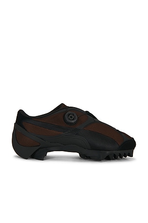 SNEAKER BEISSER Puma Select