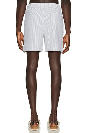 Rails La Brea Swim Trunks in Sage