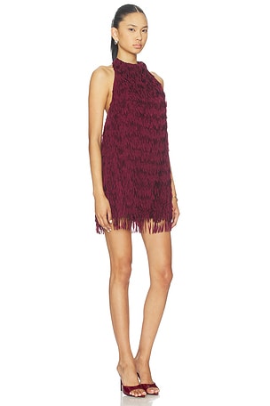 x REVOLVE Raffaella Fringe Dress ROAME.