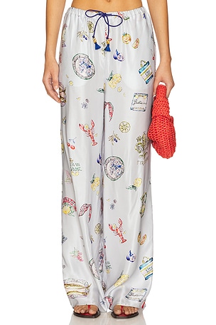 Miles Pant ROAME.