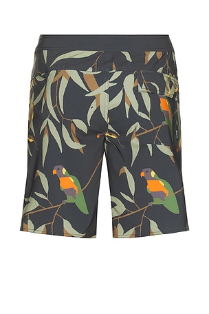 ROARK Passage Swim Short in Grey