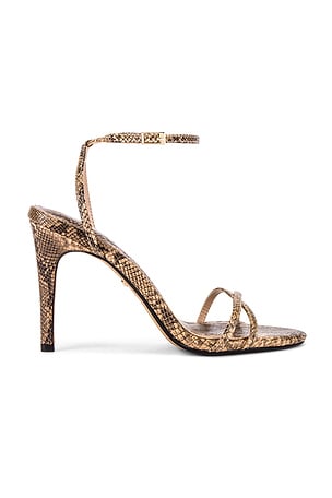 Explorer Heel RAYE