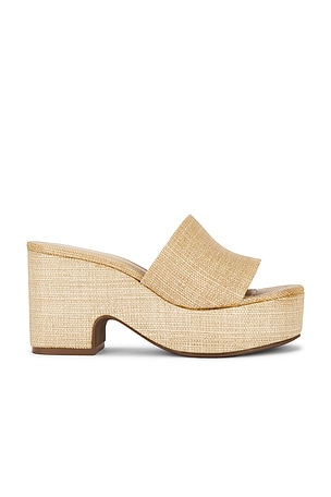 Spencer Platform RAYE