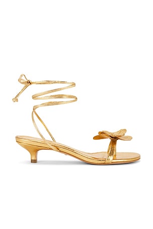 Catalina Sandal RAYE