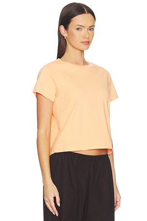 RENGGLI Crop Tee in Peach