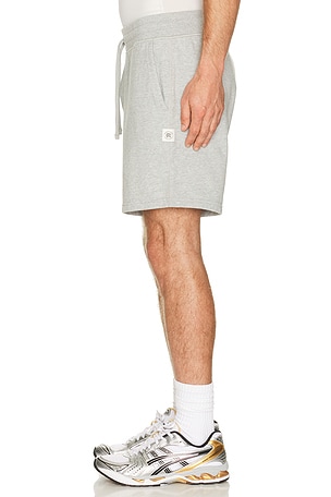 Reigning Champ Midweight Terry Standard Sweatshort 7 in Grey