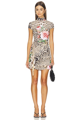 Dress Roberto Cavalli