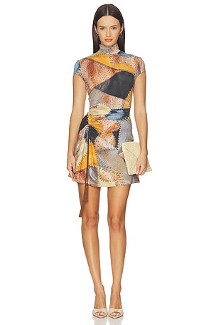 Dress Roberto Cavalli