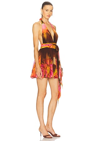 retrofete Briola Chiffon Dress in Brown,Coral