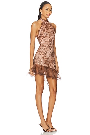 retrofete Raquelle Lace Dress in Brown. Size XS. Also