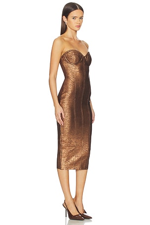 retrofete Charlize Dress in Brown