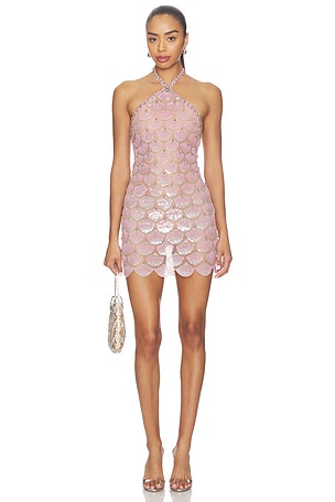 Ninette Embroidered Mini Dress retrofete