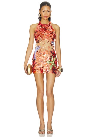 Dorothy Embroidered Dress retrofete