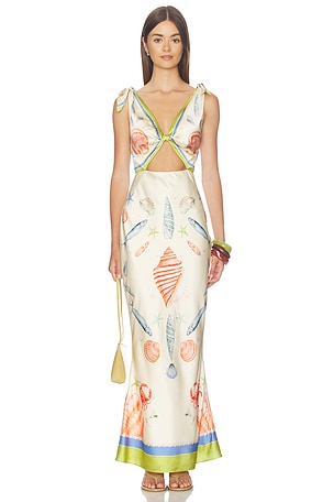 Carlotte Dress retrofete