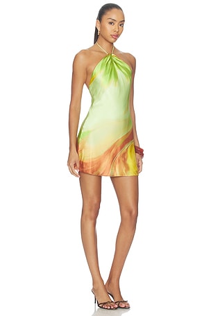 retrofete Hilary Dress in Pera Brushstroke