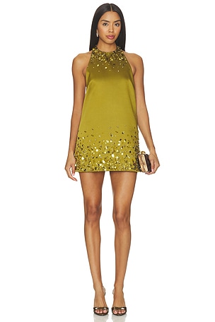 Tobonie Embroidered Dress retrofete