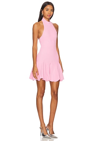 retrofete Quinn Knit Dress in Pink