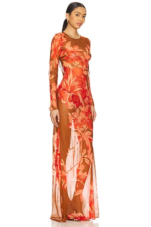 retrofete Vienna Dress in Brown,Red