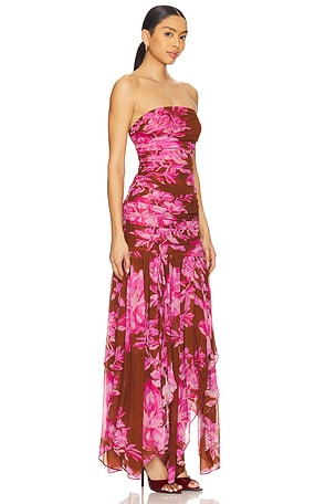 retrofete Teryn Dress in Brown,Pink