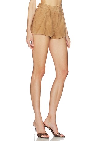 retrofete Reyes Suede Short in Tan