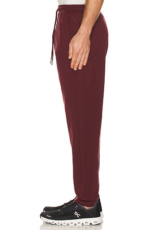 Rhone Dreamstate Jogger in Burgundy