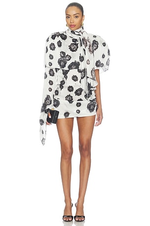 Draped Mini Dress With Cape Rowen Rose