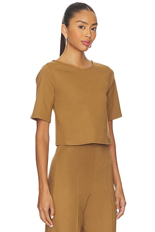 Ripley Rader Ponte Knit Short Sleeve Top in Brown