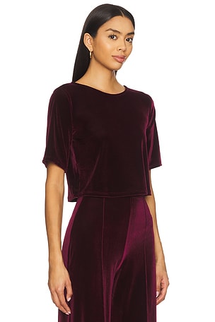 Ripley Rader Velvet Short Sleeve Top en Bourgogne