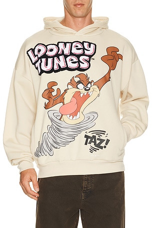 Taz Chenile Patch Po Hoodie REASON