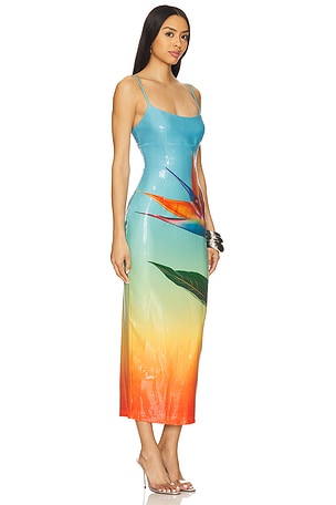Runaway The Label Kyra Midi Dress in Baby Blue,Orange